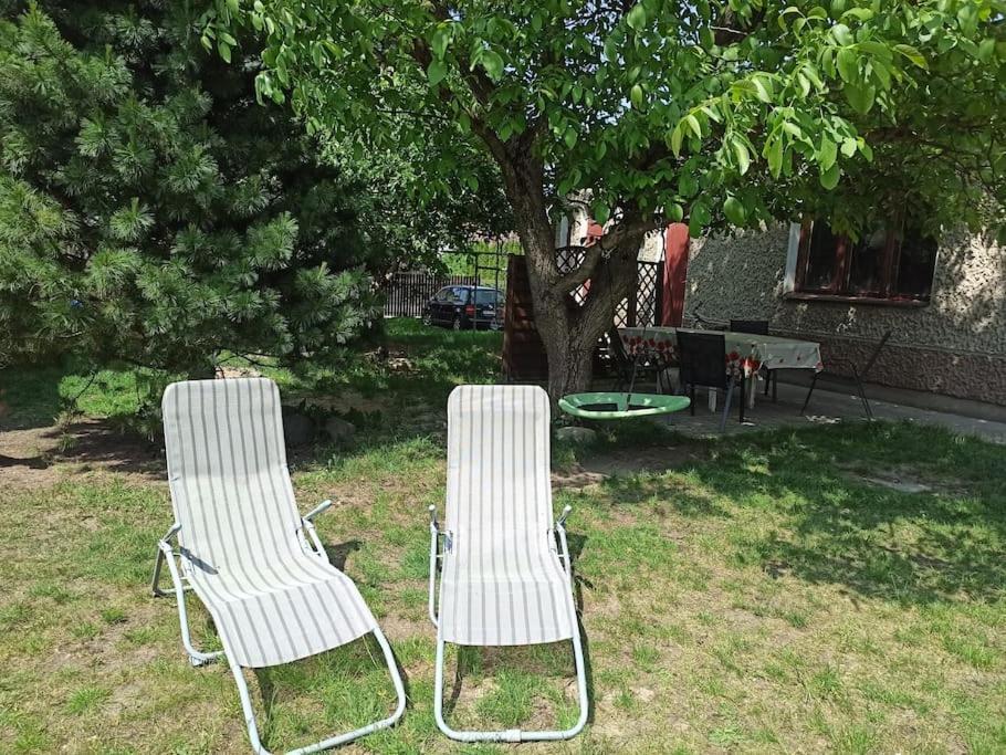 Apartament Pod Orzechem Augustów Exteriér fotografie